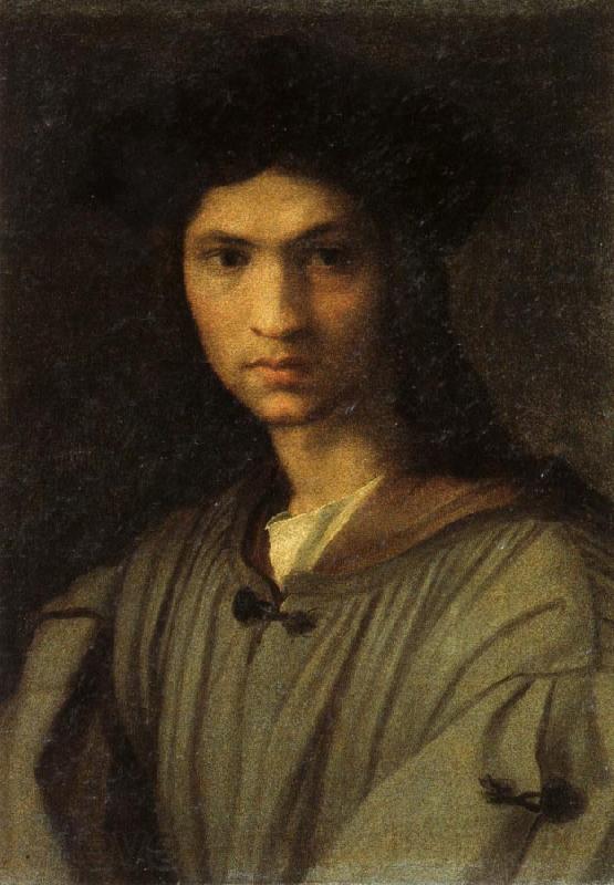 Andrea del Sarto Self-Portrait Norge oil painting art
